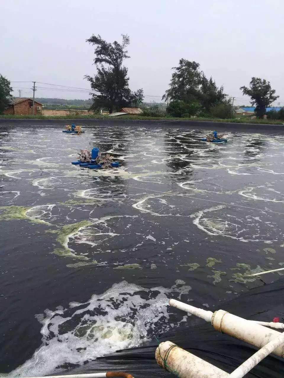 水產養殖風機