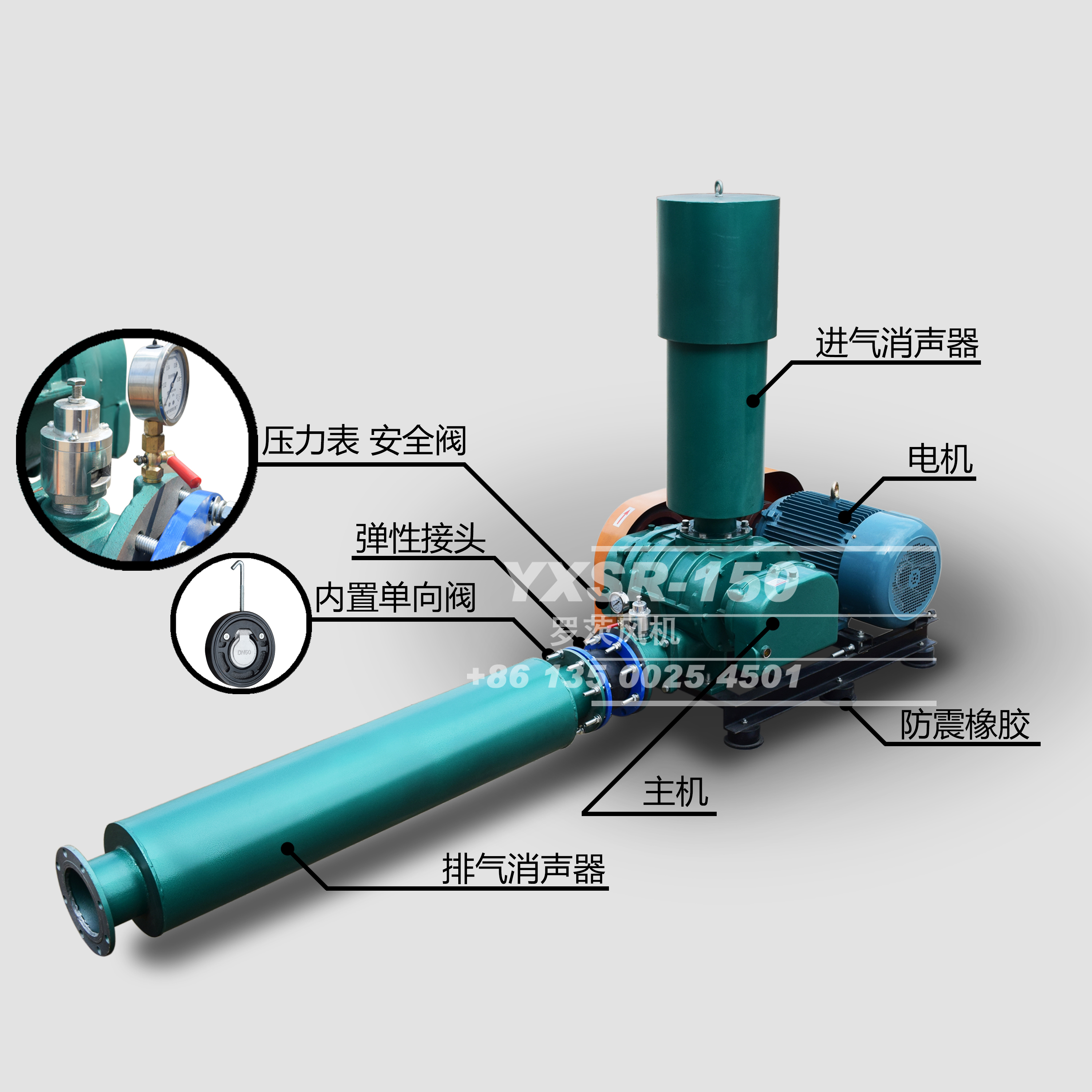 三葉羅茨鼓風(fēng)機(jī)