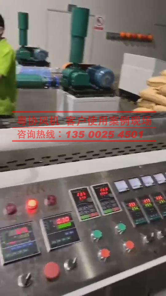 廣東熔噴羅茨風機廠家